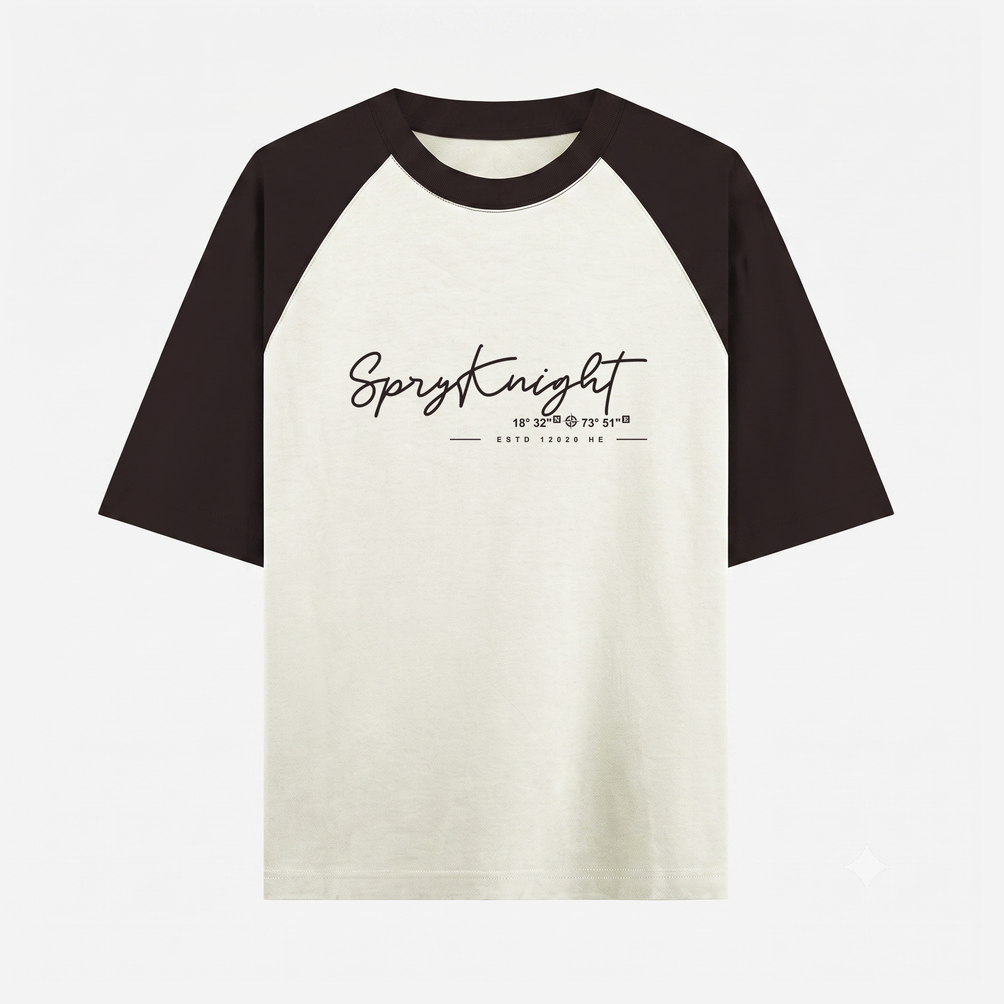 Oversized Raglan Coffee Brown T-Shirt (Unisex)
